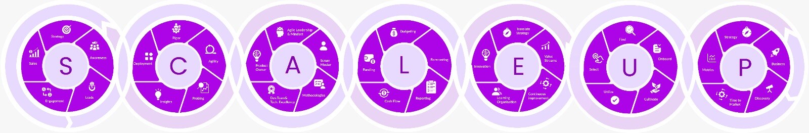 Scaleup Methodology - Big Diagram White Background